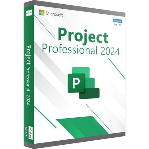 PROJECT 2024 PROFESSIONAL