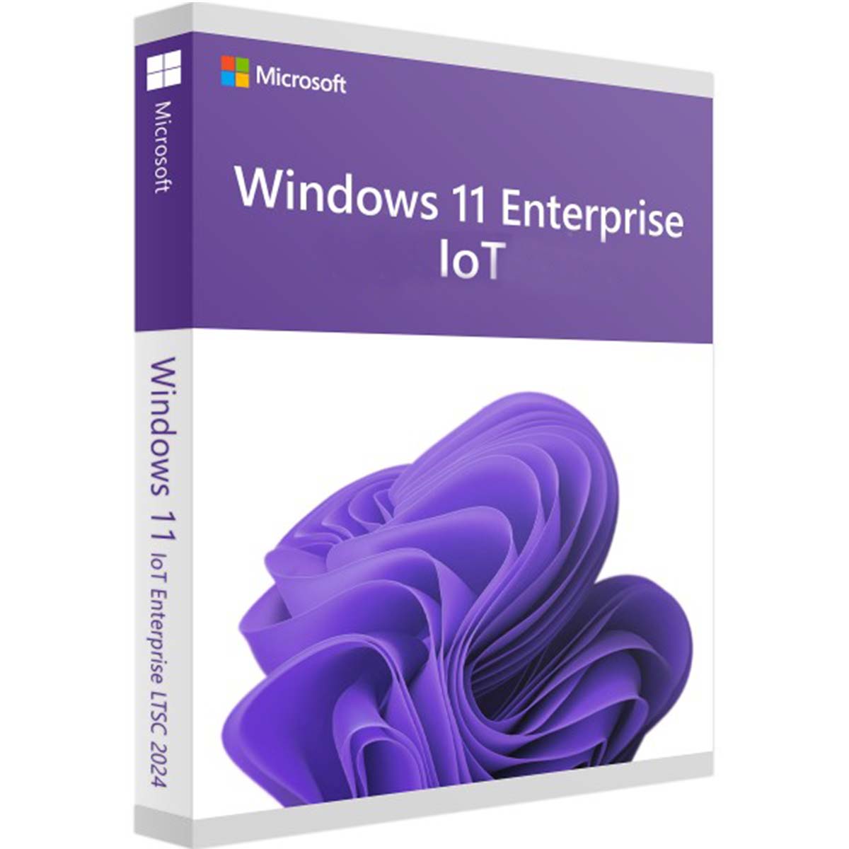 WINDOWS 11 IoT ENTERPRISE