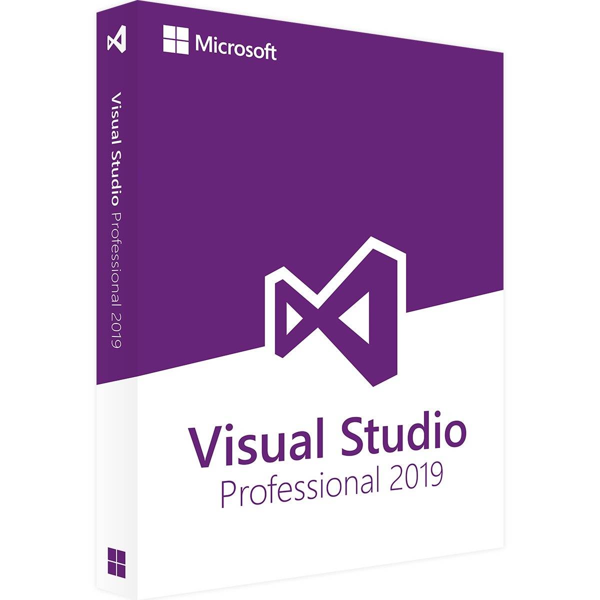 Visual Studio 2019 Professional Produktverpackung