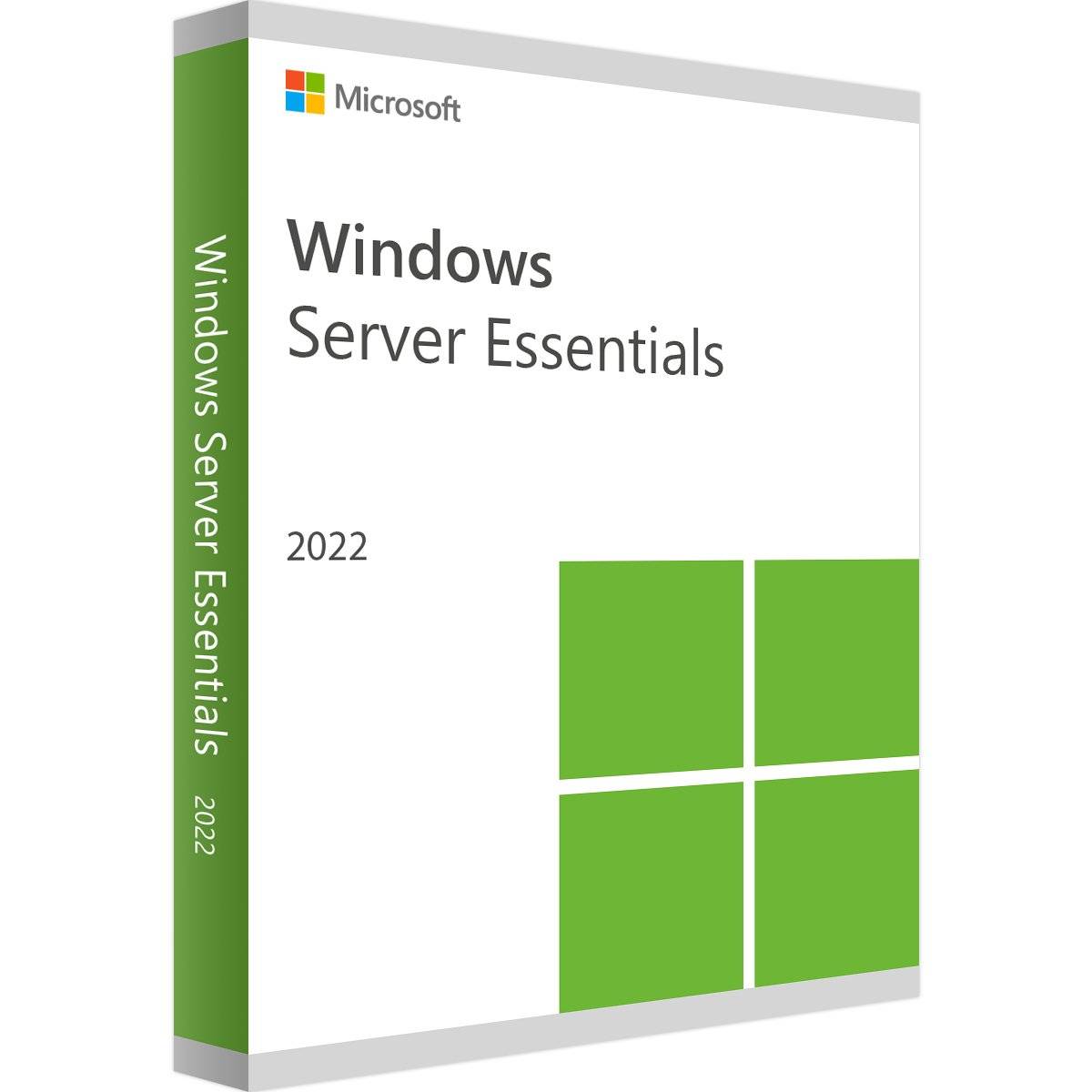 Windows Server 2022 Essentials Produktverpackung